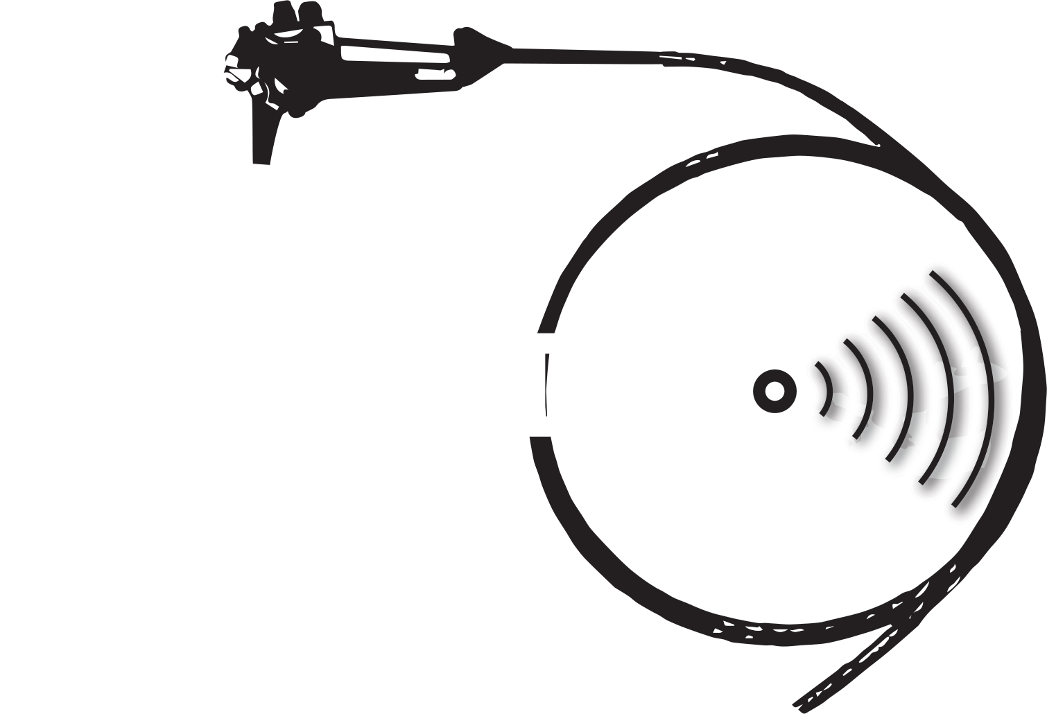 EUS-ENDO — International Live Course